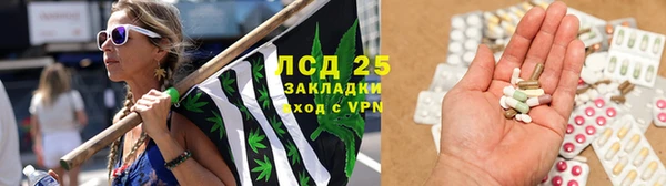 шишки Верея