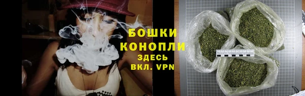 шишки Верея