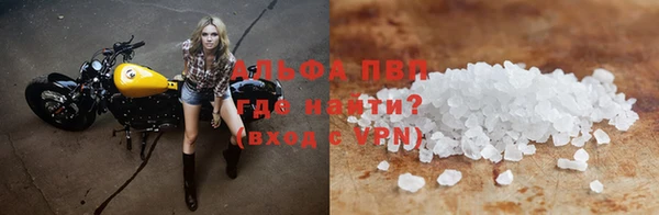 шишки Верея