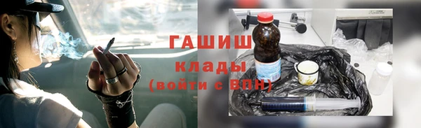 шишки Верея