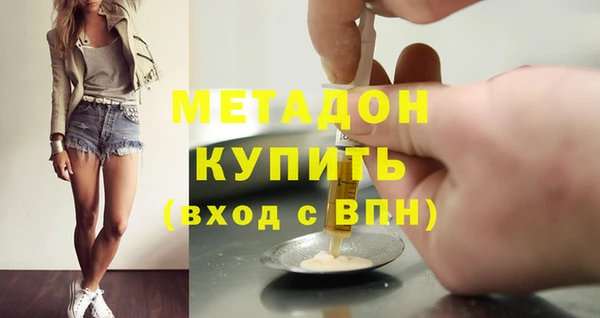 шишки Верея