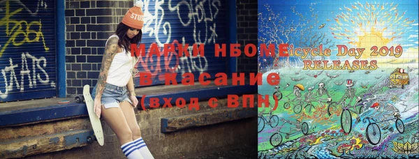 шишки Верея
