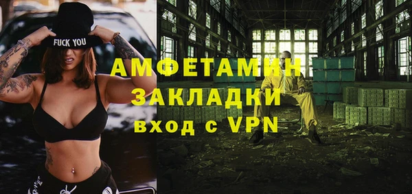 шишки Верея