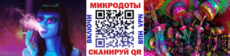 наркотики  Новошахтинск  Галлюциногенные грибы MAGIC MUSHROOMS 